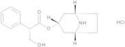 Norhyoscyamine Hydrochloride