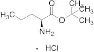 L-Norvaline t-Butyl Ester Hydrochloride