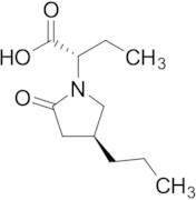 (S)-2-((S)-2-Oxo-4-propylpyrrolidin-1-yl)butanoic Acid