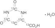 Orotic Acid-13C5 Monohydrate