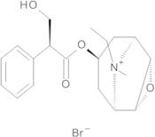 Oxitropium Bromide