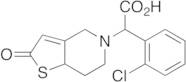 2-Oxo Clopidogrel Carboxylic Acid(Mixture of Diastereomers)
