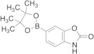 2-Oxo-2,3-dihydrobenzo[d]oxazol-6-ylboronic Acid Pinacol Ester