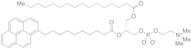 1-Palmitoyl-2-pyrenedecanoylphosphatidylcholine