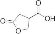 (±)-Paraconic Acid