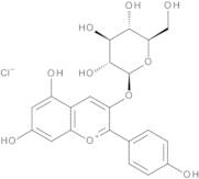 Pelargonidin 3-Glucoside (>90%)