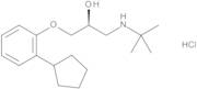 (S)-Penbutolol Hydrochloride