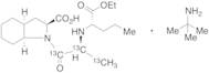Perindopril-13C3 t-Butylamine Salt