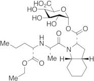 Perindopril Acyl-a-D-glucuronide