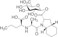 Perindoprilat Acyl-b-D-glucuronide