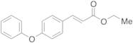 (2E)-3-(4-Phenoxyphenyl)-2-propenoic Acid Ethyl Ester