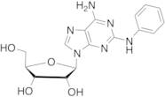 2-Phenylamino Adenosine