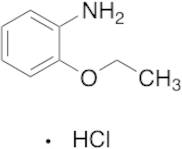 o-phenetidine hydrochloride