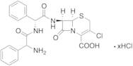 Phenylglycyl Cefaclor Hydrochloride (mixture of diastereomers)