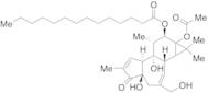 4Beta-Phorbol 12-Myristate 13-Acetate