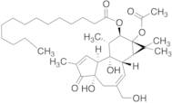 4α-Phorbol 12-Myristate 13-Acetate