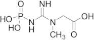 Creatine Phosphate (Phosphocreatine), >85%