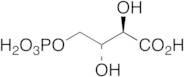 4-Phospho D-Erythronate