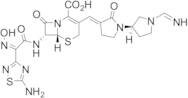 N-Pyrrolidino Iminomethyl Ceftobiprole