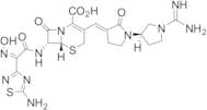 N-Pyrrolidino Amidinyl Ceftobiprole