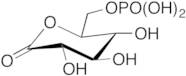 6-Phospho-L-Glucono-Delta-Lactone