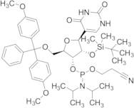 Pseudouridine CEP