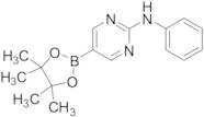 2-Phenylaminopyrimidine-5-boronic Acid Pinacol Ester