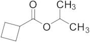 Propan-2-yl Cyclobutanecarboxylate