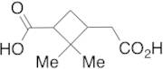 Pinic Acid (Diastereomeric Mixture)