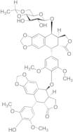 4'-(O-Podophyllotoxin-9-oxy) Etoposide