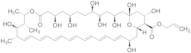 2-Propen-1-yl Ester Amphoteronolide B