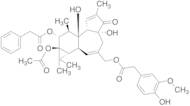 13-Acetyl,12-Phenacetyl-Phorbol 20-Homovanillate