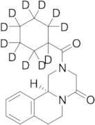 (S)-Praziquantel-d11