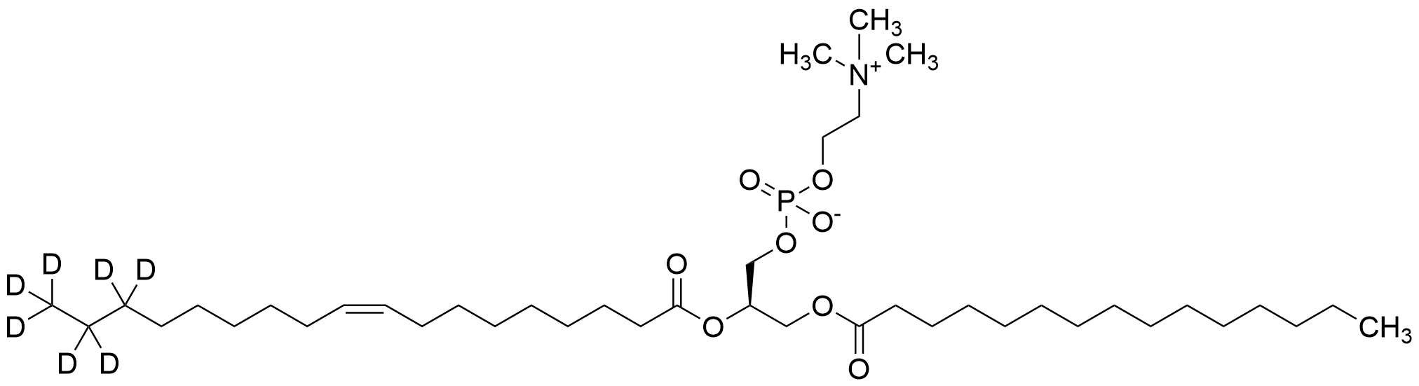 1-Pentadecanoyl-2-oleoyl(d7)-sn-glycero-3-phosphocholine