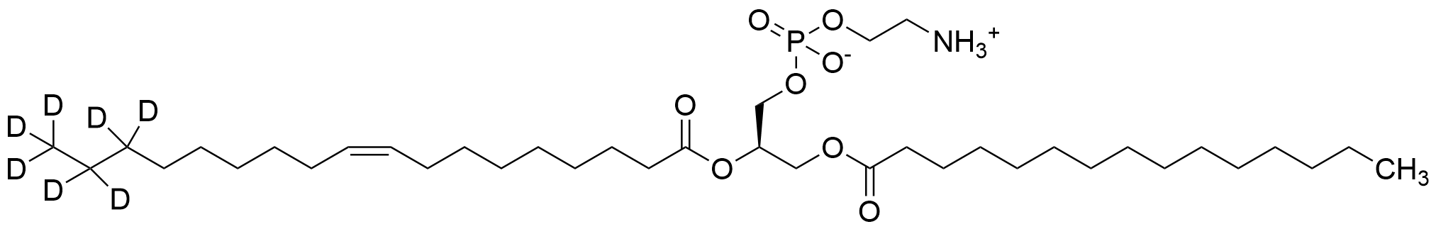 1-Pentadecanoyl-2-oleoyl(d7)-sn-glycero-3-phosphoethanolamine