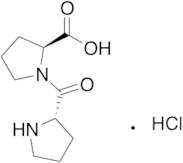1-L-Prolyl-L-proline Hydrochloride