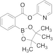 N-2-Pyridinyl-2-(4,4,5,5-tetramethyl-1,3,2-dioxaborolan-2-yl)benzamide