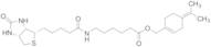 (4-(Propan-2-ylidene)cyclohex-1-en-1-yl)methyl 6-(5-((3aS,4S,6aR)-2-Oxohexahydro-1H-thieno[3,4-d]imidazol-4-yl)pentanamido)hexanoate