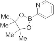 Pyridine-2-boronic Acid Pinacol Ester