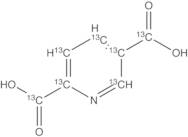 2,5-Pyridinedicarboxylic Acid-13C7