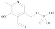 Pyridoxal 5'-Phosphate