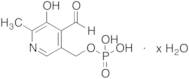 Pyridoxal 5-Phosphate Hydrate