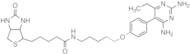 Pyrimethamine Biotin