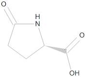 L-Pyroglutamic Acid