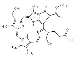 Pheophorbide A (>80%) (mixture of diastereomers)