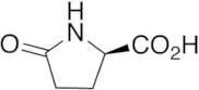 (R)-2-Pyrrolidinone-5-carboxylic Acid