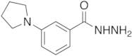 3-(1-Pyrrolidinyl)benzoic Acid Hydrazide