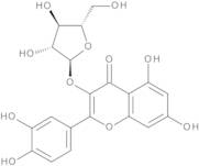 Quercetin-3-arabinoside