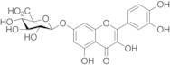Quercetin 7-O-β-D-Glucuronide