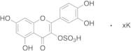 Quercetin 3-Sulfate Potassium Salt (>90%)